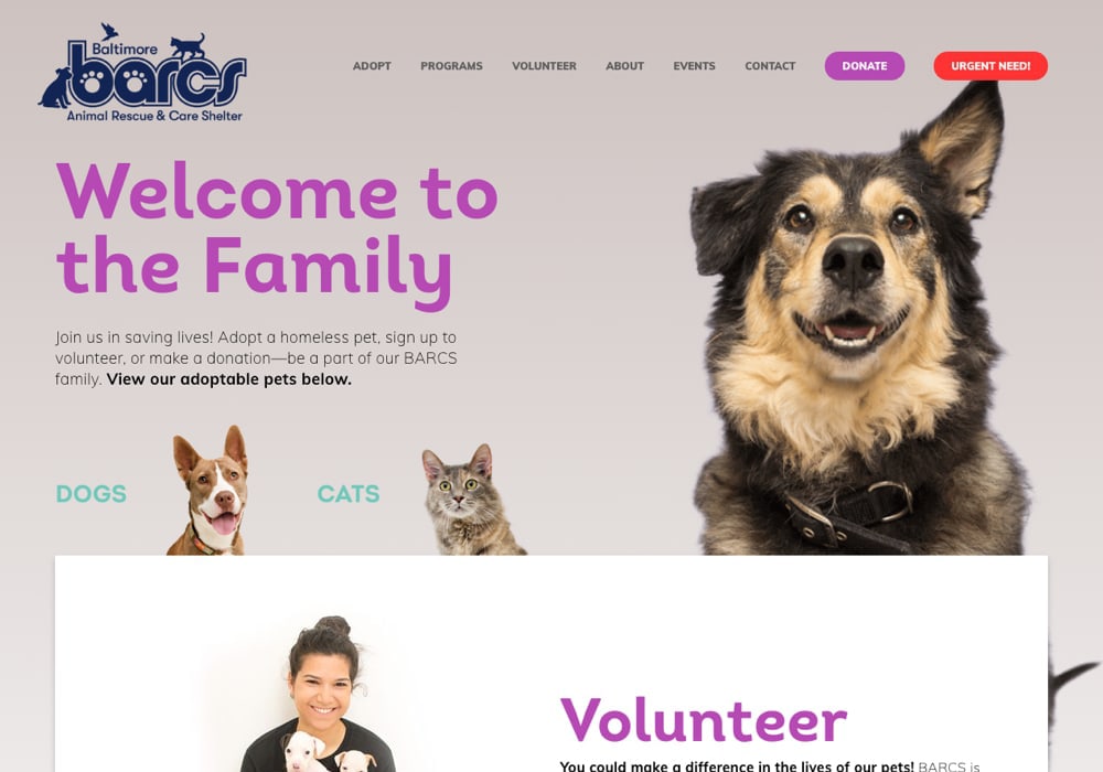 BARCs Website